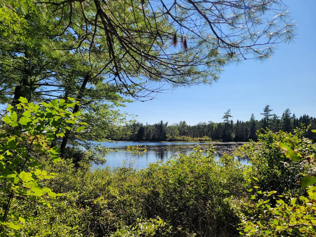 View of Wabassus Lake